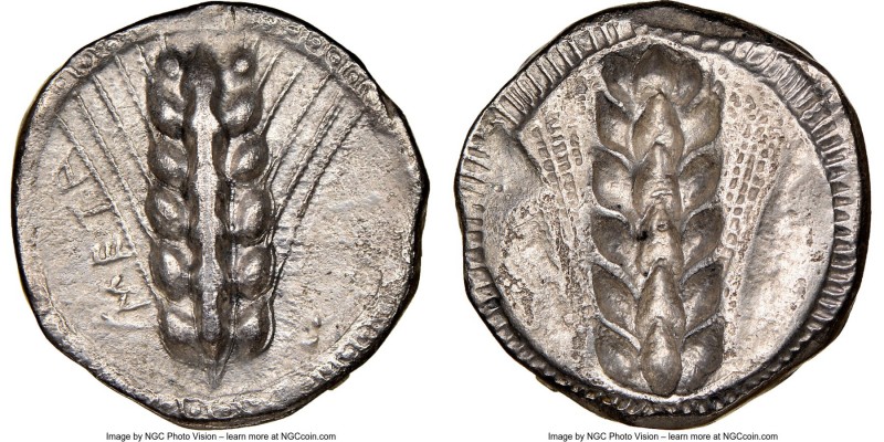 LUCANIA. Metapontum. Ca. 470-440 BC. AR stater (21mm, 7.45 gm, 12h). NGC Choice ...