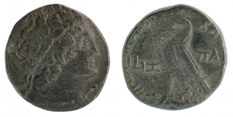 Egypt - Ptolemaeus X - Alexandria - Tetradrchme - LIZ=17 - 13.00g - SNG-366