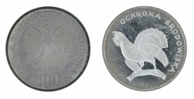 Poland - 100 zloty 1980 - capercaillie - Proof