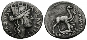 GENS PLAUTIA. Denario. (Ar. 2,69g/17mm). 55 a.C. Roma. (Crawford 431/1; FFC 1002). MBC-.