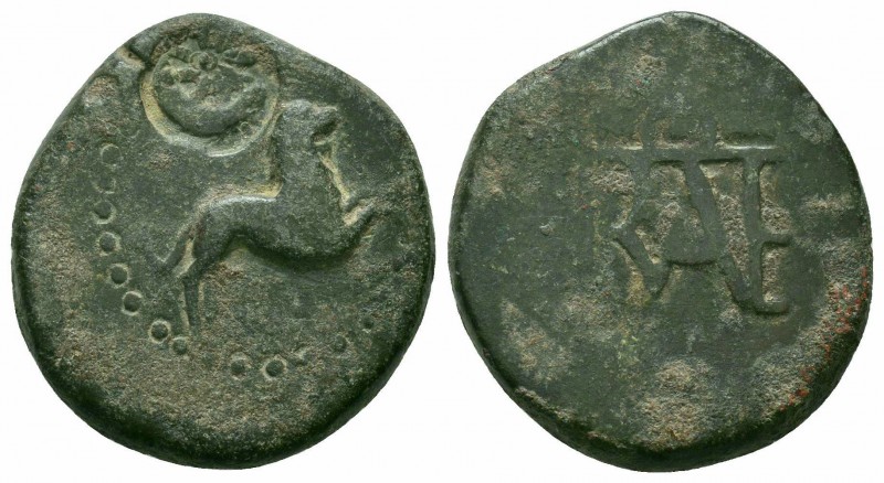 KINGS of BOSPOROS.Polemo I.Circa 15/4-9/8 BC.AE Bronze

Obverse : Lion running r...