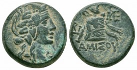 PONTOS.Amisos.Mithradates VI.Circa 85-65 BC.Civic Issue.AE Bronze

Obverse : Head of young Dionysos to right 
Reverse : ΑΜΙΣΟΥ; panther skin and thyrs...