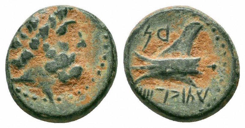 PHOENICIA.Arados. Circa 206/5-52/1 BC. AE Bronze

Obverse : Laureate head of Zeu...