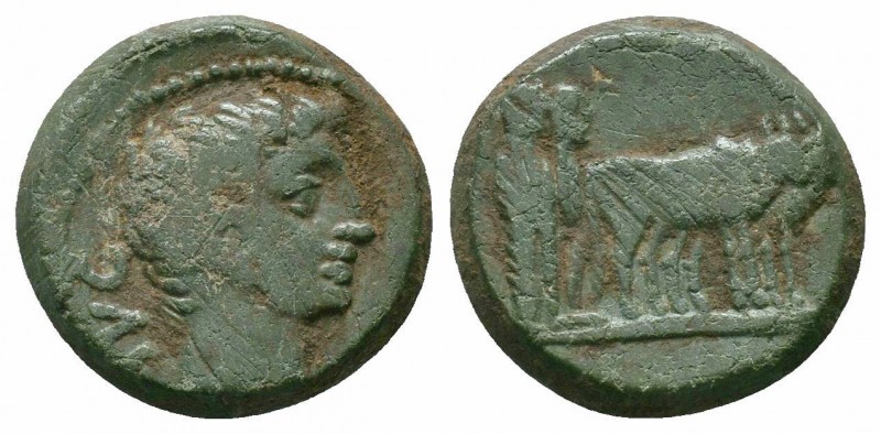MACEDON.Philippi.Augustus.27 BC -14 AD.AE Bronze

Obverse : AVG; bare head of Au...