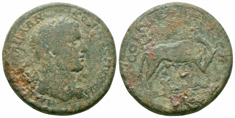 PISIDIA.Antioch.Caracalla.197-217 AD.AE Bronze

Obverse : IMP CAE M AVR AN-TONIN...