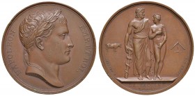 FRANCIA Napoleone Imperatore (1804-1814) Medaglia 1814 LA VACCINE - Opus: Depaulis - Denon - AE (g 37,62 - Ø 40mm) Graffi sulla guancia, colpi al bord...