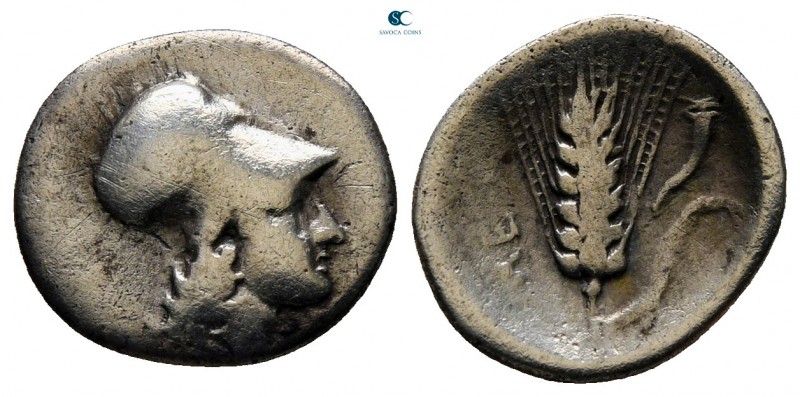 Lucania. Metapontion circa 325-275 BC. 
Obol AR

13 mm., 0,93 g.



fine