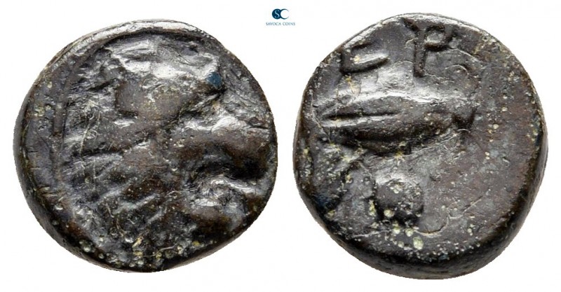 Thrace. Chersonesos circa 386-309 BC. 
Bronze Æ

10 mm., 1,35 g.



very ...