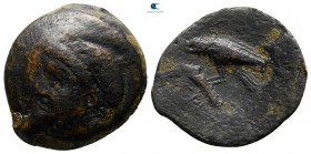 Scythia. Olbia circa 350-300 BC. Bronze Æ