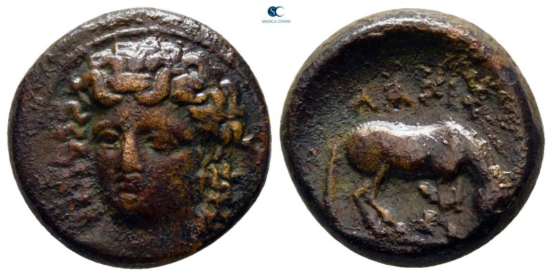 Thessaly. Larissa 380-360 BC. 
Dichalkon Æ

17 mm., 4,58 g.



very fine