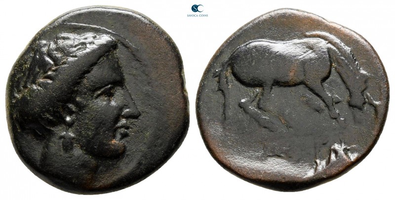 Thessaly. Larissa circa 380-365 BC. 
Dichalkon Æ

16 mm., 3,81 g.



near...