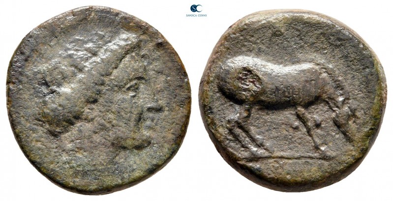 Thessaly. Larissa circa 344-337 BC. 
Dichalkon Æ

17 mm., 3,75 g.



fine...