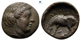 Thessaly. Larissa circa 344-337 BC. Chalkous Æ