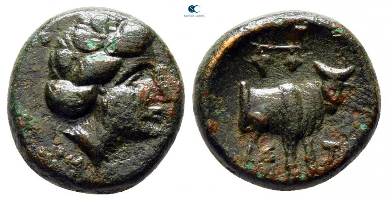 Euboea. Histiaia circa 369-338 BC. 
Bronze Æ

13 mm., 2,25 g.



very fin...