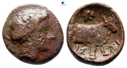 Euboea. Histiaia circa 369-338 BC. Bronze Æ