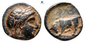 Mysia. Gambrion circa 350-250 BC. Bronze Æ