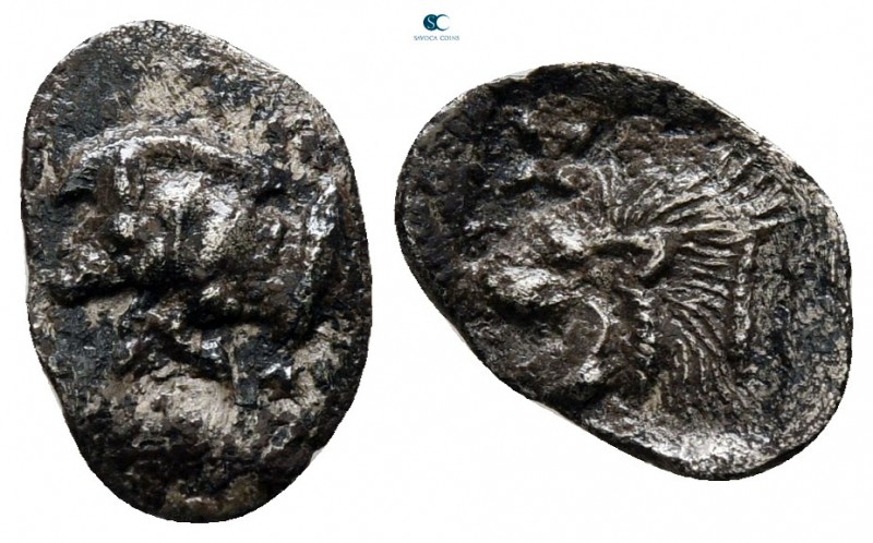 Mysia. Kyzikos circa 525-475 BC. 
Hemiobol AR

11 mm., 0,40 g.



very fi...