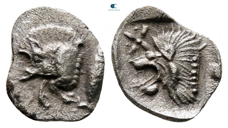 Mysia. Kyzikos circa 525-475 BC. 
Hemiobol AR

9 mm., 0,37 g.



very fin...