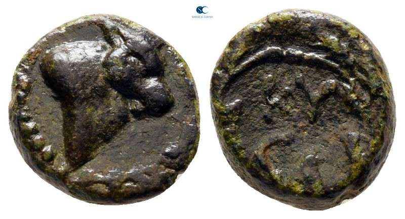 Mysia. Kyzikos circa 200-0 BC. 
Bronze Æ

11 mm., 1,89 g.



very fine