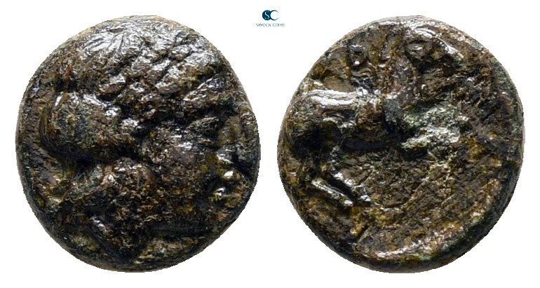 Troas. Gargara circa 400-282 BC. 
Bronze Æ

7 mm., 0,63 g.



nearly very...