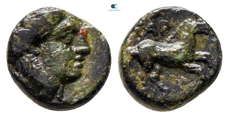 Troas. Gargara circa 400-284 BC. 
Bronze Æ

8 mm., 0,66 g.



nearly very...