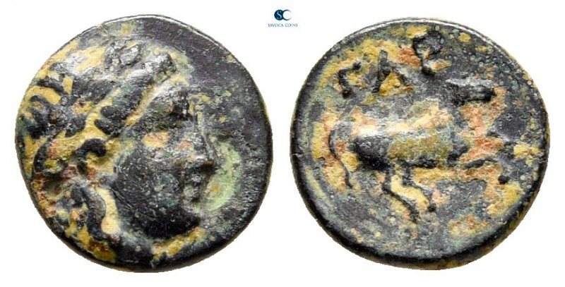 Troas. Gargara circa 350 BC. 
Bronze Æ

9 mm., 0,57 g.



very fine