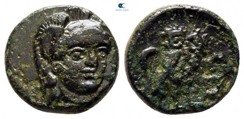 Troas. Sigeion circa 355-334 BC. 
Bronze Æ

12 mm., 1,66 g.



nearly ver...