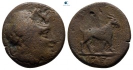 Aiolis. Aigai circa 200-0 BC. Bronze Æ