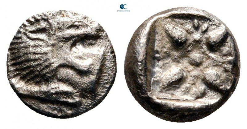 Ionia. Miletos circa 525-475 BC. 
Diobol AR

8 mm., 1,10 g.



fine