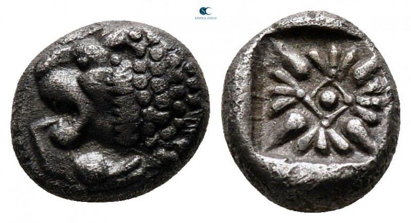 Ionia. Miletos circa 525-475 BC. 
Diobol AR

8 mm., 1,11 g.



very fine