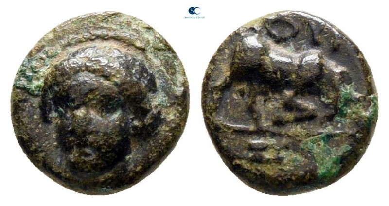 Ionia. Phygela circa 350-300 BC. 
Bronze Æ

8 mm., 0,64 g.



nearly very...