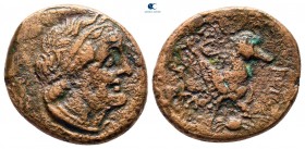 Ptolemaic Kingdom of Egypt. Uncertain mint. Ptolemy I Soter 305-282 BC. Bronze Æ
