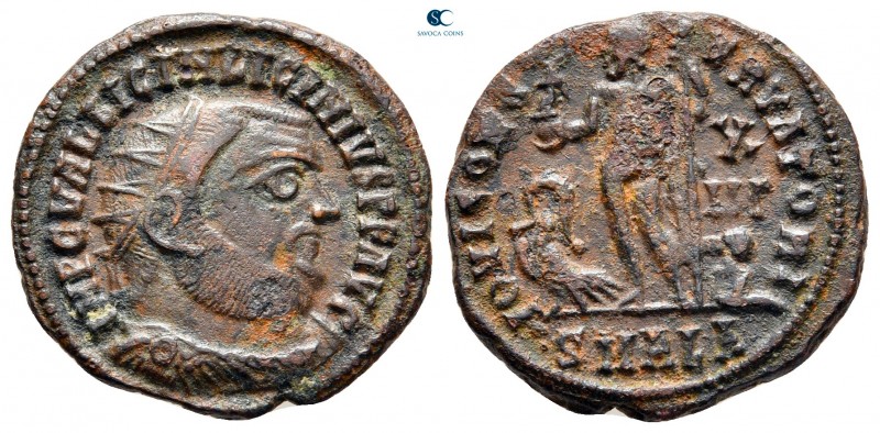 Licinius I AD 308-324. Alexandria
Follis Æ

20 mm., 3,04 g.



very fine