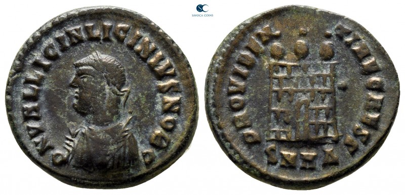 Licinius II, as Caesar AD 317-324. Heraclea
Follis Æ

19 mm., 2,74 g.



...