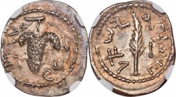 JUDAEA. Bar Kokhba Revolt (AD 132-135). AR zuz (19mm, 3.37 gm, 6h). NGC MS S 5/5 - 5/5. Dated Year 2 (AD 133/4). Simon (Paleo-Hebrew), bunch of grapes...