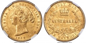 Victoria gold Sovereign 1864-SYDNEY MS61 NGC, Sydney mint, KM4. A difficult issue in Mint State, the majority of these early 'banksia' sovereigns havi...