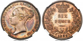 Victoria Proof 6 Pence 1853 PR66 NGC, KM733.1, S-3908. Reeded edge. Glossy pristine surfaces imbued with gentle dusky orange highlights. The sole fine...