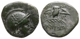 Bronze Æ
Mysia. Pergamon, c. 200-133 BC, Head of Athena right, wearing helmet decorated with star / AΘHNAΣ NIKHΦOPOY, owl standing facing on palm fro...