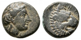 Bronze Æ
Troas. Antandros c. 350-250 BC
12 mm, 1,71 g