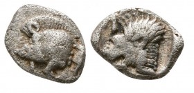 Obol AR
Mysia. Kyzikos, Mysia, Kyzikos. c. 450-400 BC. AR Hemiobol, Forepart of boar left; to right, tunny upward / Head of roaring lion left; star t...