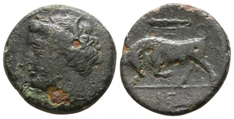 Bronze Æ
Hieron II., Sicily. Syracuse, Hieron II (274-216 BC), Head of Kora lef...