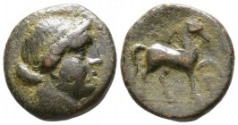 Bronze Æ
Aeolis, Kyme, c. 250-200 BC, Head of the Amazon Kyme r. R / Horse stepping r.
19 mm, 7,43 g
SNG Copenhagen 100