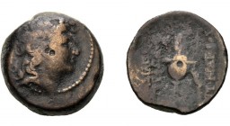 Bronze Æ
Antioch on the Orontes mint, Tryphon, c. 142-138 BC, Diademed head right
18 mm, 6,22 g
SC 2040