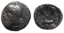 Litra AR
Sicily. Katane, Head of Silenos left / Winged thunderbolt, two shields flanking, c. 461-450 BC
12 mm, 0,67 g