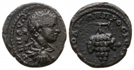 Bronze Æ
Nikopolis, Severus Alexander (222-235), Grape
16 mm, 3,10 g