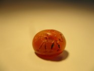 Sassanid seal from carneol , antilope, 5th-6th century AD,12 x 10 mm