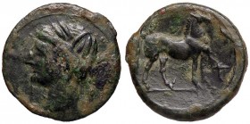 GRECHE - SICILIA - Sardo-Puniche - AE 23 - Testa di Kore a s. /R Cavallo stante a d.; davanti lettera Piras 120 (AE g. 6,23)
BB+