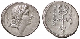 ROMANE REPUBBLICANE - PLAETORIA - M. Plaetorius M. f. Cestianus (67 a.C.) - Denario - Testa del Buon Evento a d.; dietro, un simbolo /R Caduceo alato ...