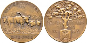 Deutsche Münzen und Medaillen ab 1871. Nebengebiete. Deutsch-Südwestafrika 
Bronzene Prämienmedaille 1909 von Mayer und Wilhelm. Ehrenpreis der Lande...