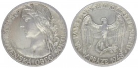 Silbermedaille, 1948
Tschechoslowakei. auf Obec Sokolska.. 14,05g
stgl
